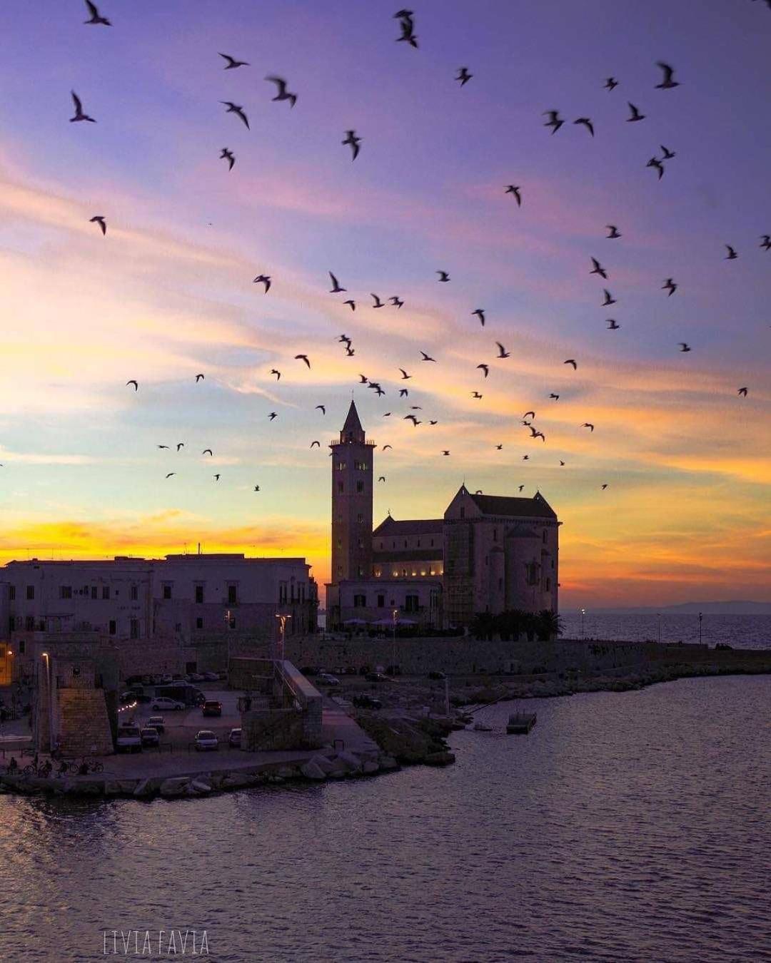 La Soffitta Covelli Panzió Trani Kültér fotó